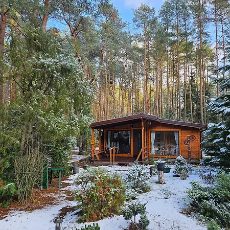 Homewood Huta Podgorna